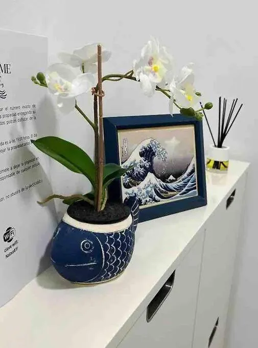 Lejlighed Apartamento Urban Zen Con Terraza Y Jacuzzi Las Palmas de Gran Canaria Spanien